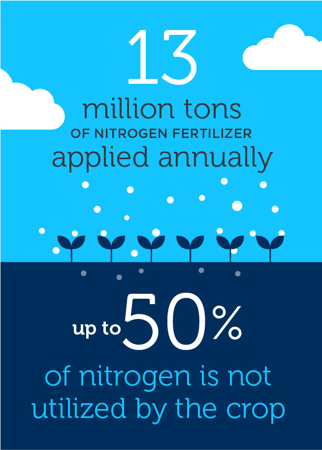 肥料使用和氮对环境的损失的年度统计